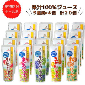 yĕZ[zS[hpbN Yf W[X 点ăV[xbg 5lߍ킹 80g×20{ (5×e4{j100%ʏ`  ZkҌ hN