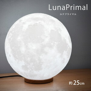 Cg 25cm LED ԐڏƖ ؐ e[uv Ɩ CeA  ̃v  Q  Ɩ 3Dvg Mtg Cg v rO iCgCg ̐i