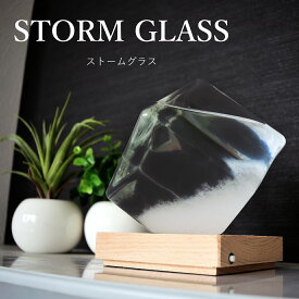 ストームグラス ガラス天気予報ボトル ストーム瓶 Large 気象予報器 結晶観察器 正方形 キューブ インテリア 贈り物 ガラス 小物