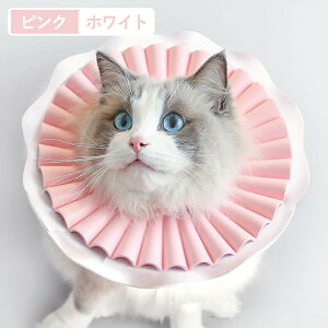 GUxXJ[ ybgp\tgGUxXJ[  Ck L lR p ȒPy y _炩f pi p  p̏ی p Lp p㒅/EFA r߂Ȃ ޖh