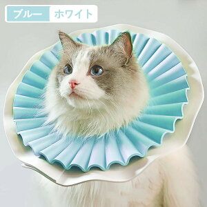 GUxXJ[ ybgp\tgGUxXJ[  Ck L lR p ȒPy y _炩f pi p  p̏ی p Lp p㒅/EFA r߂Ȃ ޖh