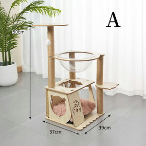 Lbg^[ L^[ ؐ 80cm u ؐLbg^[ LnEX ܂Ƃ|[ Bƕt 萫Q  ^L VjA lR^[ L̕ Vя   F