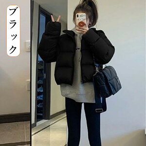  V[g WPbg_ER[g fB[X R[g H~ 㒅 AE^[x`R[g AE^[ fB[X tFCN_E傫TCY i h ےg  y g ʋ 