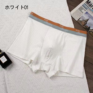 {NT[pc Y RۖhL z Xgb` 4Zbg pc   j {NT[u[t tBbg   傫TCY M-3XL zCg CG[ O[ O[