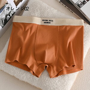 {NT[pc Y RۖhL z Xgb` 4Zbg pc   j {NT[u[t tBbg   傫TCY L-4XL ubN IW O[ lCr[