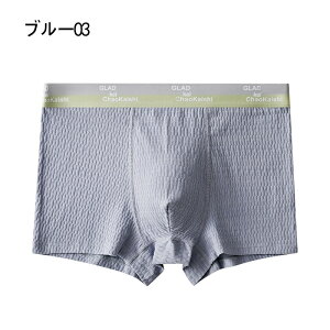 {NT[pc Y RۖhL z Xgb` 4Zbg pc   j {NT[u[t tBbg   傫TCY L-4XL ubN sN u[