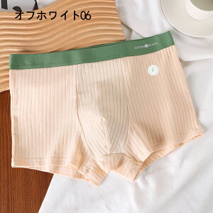 {NT[pc Y RۖhL z Xgb` 4Zbg pc   j {NT[u[t tBbg   傫TCY L-4XL CgO[ O[ u[ O[