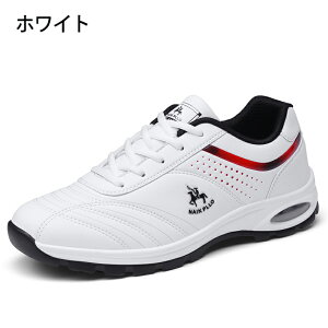 StV[Y Y C XpCNX St h _炩 ~ EH[LOV[Y X|[cV[Y ϋv L j h\[ K ϖՐ h ₷ ̓ hV