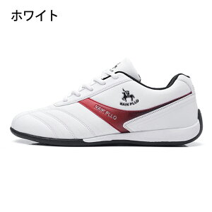 StV[Y Y C XpCNX St h _炩 ~ EH[LOV[Y X|[cV[Y ϋv L j h\[ K ϖՐ h ₷ ̓ hV