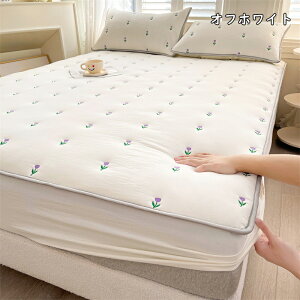 {bNXV[c ̌^ ~pbȟ^ {bNXV[c ⊴ o[Vu ~pbh _u LOTCY X[p[LO }bgXJo[ pbhV[c t  H