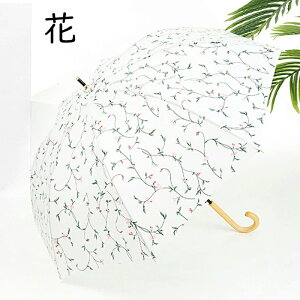 JP P y 350g 8{ fB[X vbV ^b`   ϕ ~J Mtg v[g 킢 J  w ΂̗t   sN̍