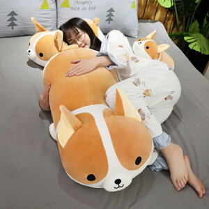 ʂ   R[M[ 킢  ObY ӂӂ  ܂ Aj} NbV a 蕨 v[g Mtg 40CM 60cm 80CM