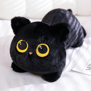 ʂ ˂ L L̕ 傫 킢   ӂӂ  ܂ Aj}Y a LO 蕨 v[g Mtg ubN O[ 50cm 70cm 90cm