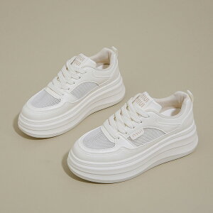 Xj[J[  fB[X EH[LOV[Y bV JWA  ʋC K ₷ ɂȂ y r ʊw AEghA W ʋ