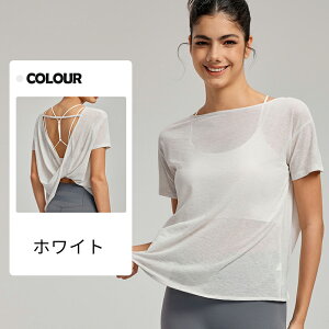 KEFA gbvX    zbgK seBX EFA R GAt[ TVc  킢 ꂢ wJ w X|[cEFA fB[X tVc  y 