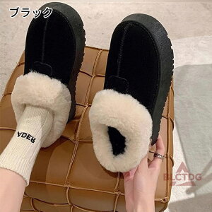 Xm[u[c [gu[c  fB[X fB[Xu[c h t@[u[c [g ۉ  {A N ~ ~ C ʊw v[g h fB[X {A t@[