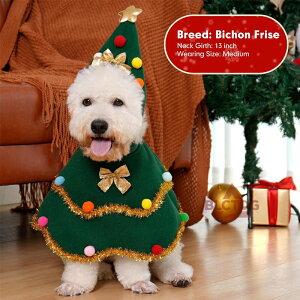 T^ }g NX}X  }g ybg  p NX}X q ߑ NX}X  hX NX}X c[ `  hX  }g NX}X  ߑ ybg  ybg NX}