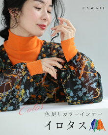 （4/1～4/15前後の出荷予定）【予約♪2/20 20時】（SM/LXL対応）色足しカラーインナー　イロタス