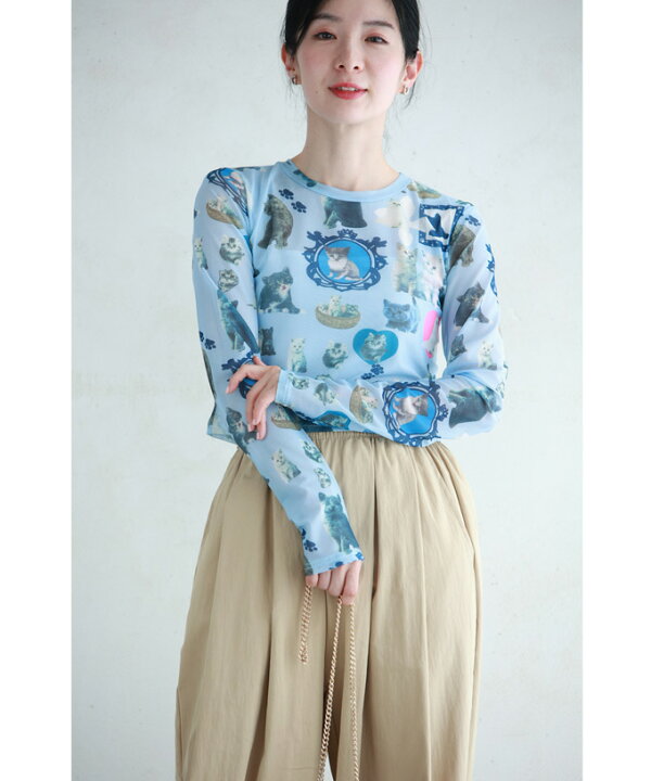 楽天市場】【再入荷♪5/19 20時】（S~M対応）可愛い子猫セレクション  