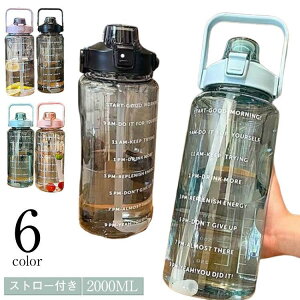 BPAt[ ^C}[J[t e  oRp l W X|[c vX`bN 2000ML qǂ AEghA 2L Xg[t ^