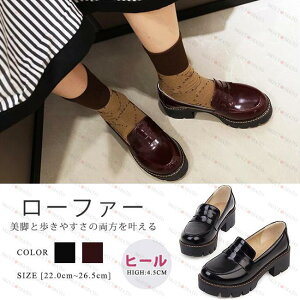 [t@[pvX fB[X pvX q[  PU    ₷ ₷ JWA  ʋ ʊw 傫TCY