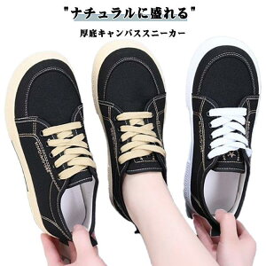 Xj[J[ fB[X  [Jbg ꂢ Vv n LoX 􂦂 NbVC\[ [XAbv  ₷ JW