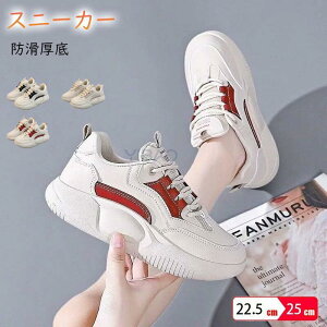 �_�C�G�b�g�X�j�[�J�[ ���f�B�[�X ����J�W���A���V���[�Y ����X�j�[�J�[ ����X���b�|�� �O������ ���f�B�[�X ����3.5cm �l�ԍH�w ���r���� ���L �y�� �ʋC