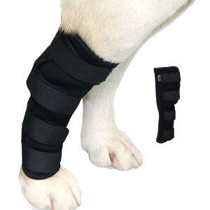 G p㌢p T|[^[ ֐ߕی ֐߃veN^[ V[gT|[^[  V[gT|[^[ PApi ܎ V pi