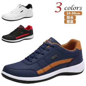 傫TCY y Y  C X|[c Xj[J[ EH[LOV[Y ʊw ʋ wZ ^  h V[Y JWA J̓