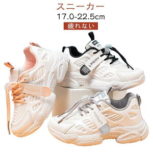 Xj[J[ X|[cC  ^C Xj[J[ _X LbY  Xj[J[ fB[X _XV[Y Xj[J[ b ̎q jOV[