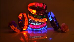 ybgpi [֑ LED  n[lX  ̂U UObY