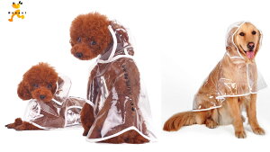 y1000~|bLzCR[g  pCR[g C|` h@[֑