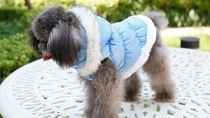 t[htxXg WPbg  H~ t[hO\ h