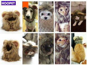 y1000~|bLz L  EBbO RXv ߑ CI  ybgpi@[֑