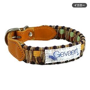 yX[p[Z[10OFFz Č   v  {v yGevaert × iDog p MIXz t@ubN  ^ { L 32`36cm XL 36`40cm pi J[  ANZT[ Ȗ؃U[