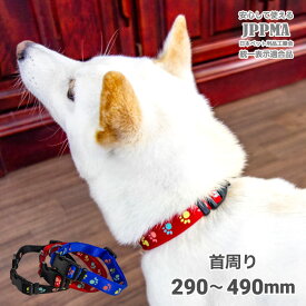 柴犬 首輪 蓄光 【蓄光カラー】 カラー 豆柴 中型犬 小型犬 首周り 29～34cm 犬用品 おしゃれ ワンタッチ アクセサリー