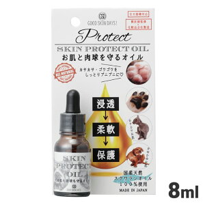 N[  ێ  ی yObhXLfCY XLveNgIC 8mlz IC   tP  JTJT pi