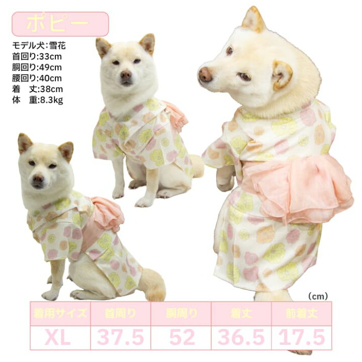 楽天市場】柴犬 浴衣 着物 犬服 犬 服 【大輪帯浴衣】 豆柴 中型犬 