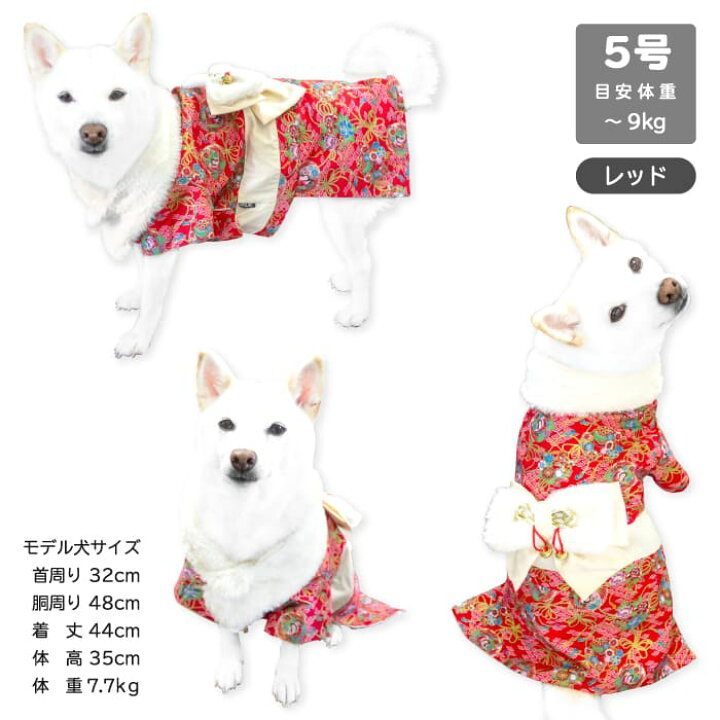 楽天市場 柴犬 犬服 着物 ふわふわ ショール着物 豆柴 中型犬 9kg Xxl 振袖 晴れ着 映え 犬用品 ドッグウェア 七五三 正月 お祝い 誕生日 女の子 かわいい 柴犬の服屋さんone歩