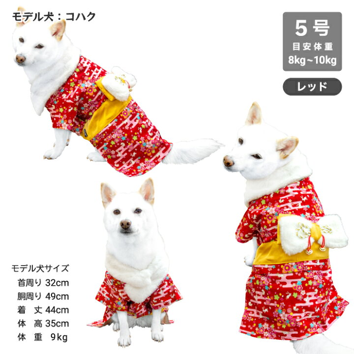 楽天市場】柴犬 着物 犬服 犬 服 【うさぎ晴れ着】 中型犬 豆柴 5号 8 