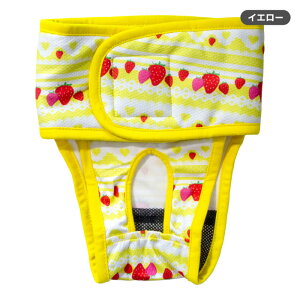 Č ^ ^yTj^[xgpc [XXgx[z5 38`43cm 8`15kg ł  炵  X ̎q }i[EFA }i[ Tj^[