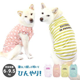 柴犬 犬服 クール 濡らして使う 犬 服 【COOL ME ロゴプリント タンク】 豆柴 中型犬 6～9.5kg XL XXL 春 抗菌 消臭 吸湿 吸汗 UVカット98％ ドッグウェア