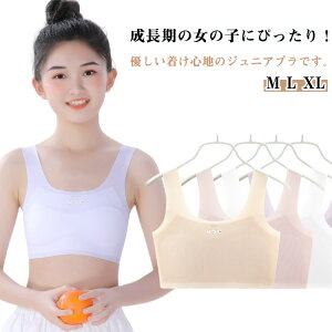 mC[ uW[ WjA ̎q  w n[tgbv V[X Xgb` qp w WjAu qǂ n K[Y uW[ pbgt LbYp Ci[ 