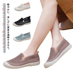 X|[c fB[X EH[LOV[Y C\[ NbV bVXj[J[ ɂ ^C jbgXj[J[ W Xb| V[Y tBbglX ʊw Vv y 