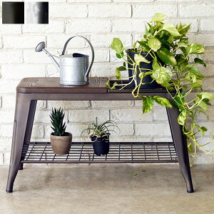 x` Pĕt _[NuE/NA[ փx` x``FA 79cm s41cm 44.5cm jO/ubN/re[W/Vr[/AeB[N/C_XgA It ԑ Au