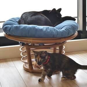 ybgpxbh NbVt ybgXc[ Lbgxbh hbOxbh p Lp ybgxbg Xc[ ֎q   ~jXc[ ^   킢 Vv k i