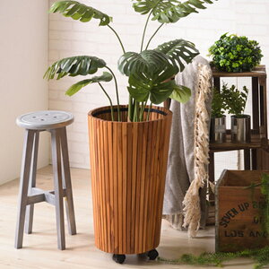 v^[Jo[ L LX^[t v^[[ ϗtA CeAG C TtVXR Vv _ AJ Jo[ CeA ؐ a39cm 65cm  