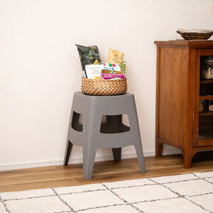 Xc[ ubN/O[/x[W/CG[ [Xc[ ֎q X^bLO 38cm |vs | ֈ֎q ⏕֎q Vv/_/g/~bhZ`[/k/mg[