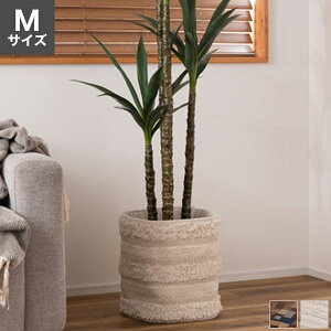 v^[Jo[ Rbg/{v S/M Jo[ AؔJo[ ϗtA̔AJo[ CeAG i`/k/؍CeA/Vv/_/AJ/re[W zCg u