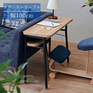 JE^[fXN i` 100cm fXN   JE^[e[u JtF nCe[u ubN  ACA rO[ [ p\RfXN k/x[VbN 